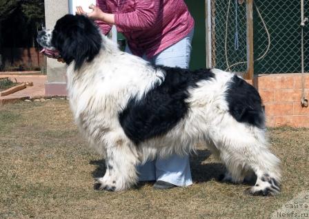 Фотография № 40582