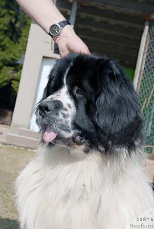 Фотография № 40583