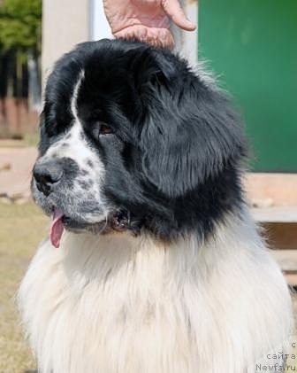 Фотография № 40585