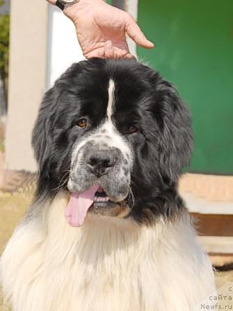 Фотография № 40586