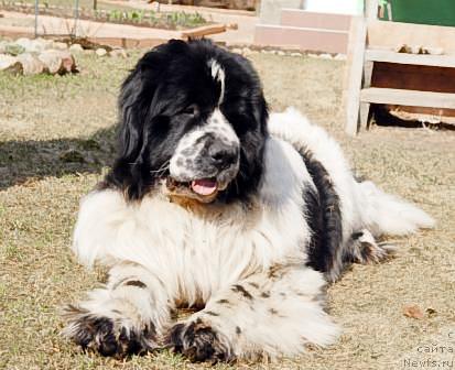 Фотография № 40589