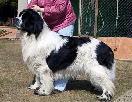 Фотография № 40594