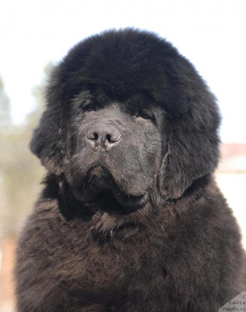 Фотография № 40641