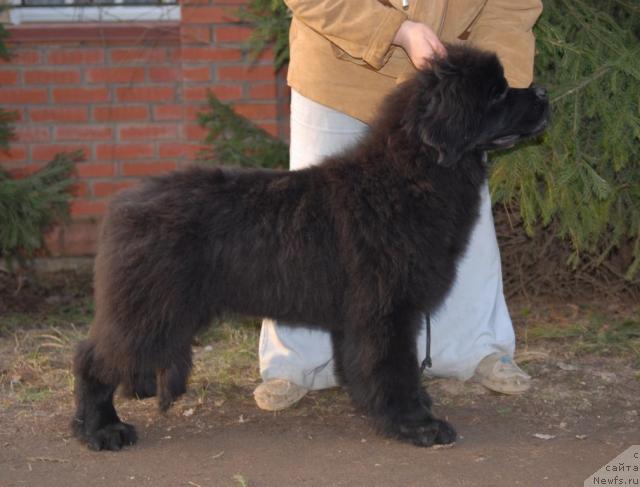 Фотография № 40649