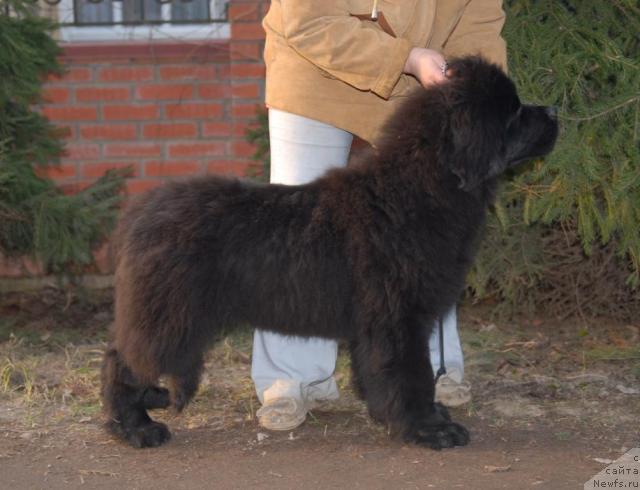 Фотография № 40650