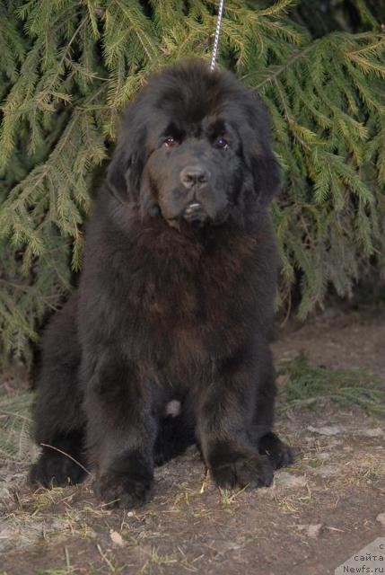 Фотография № 40651