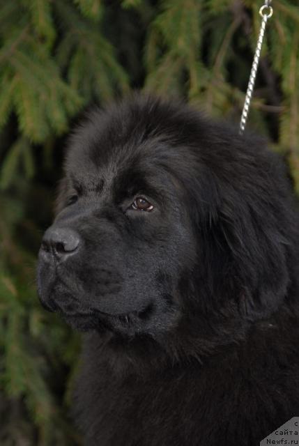 Фотография № 40652