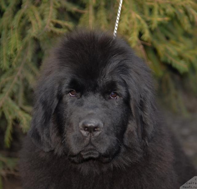 Фотография № 40653