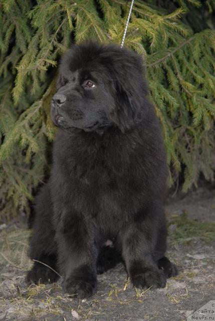 Фотография № 40656