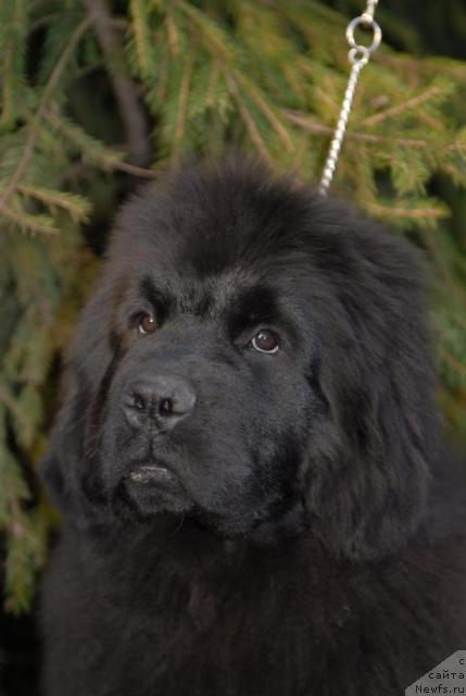 Фотография № 40657