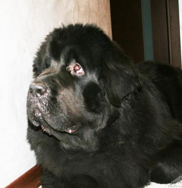 Фотография № 40659