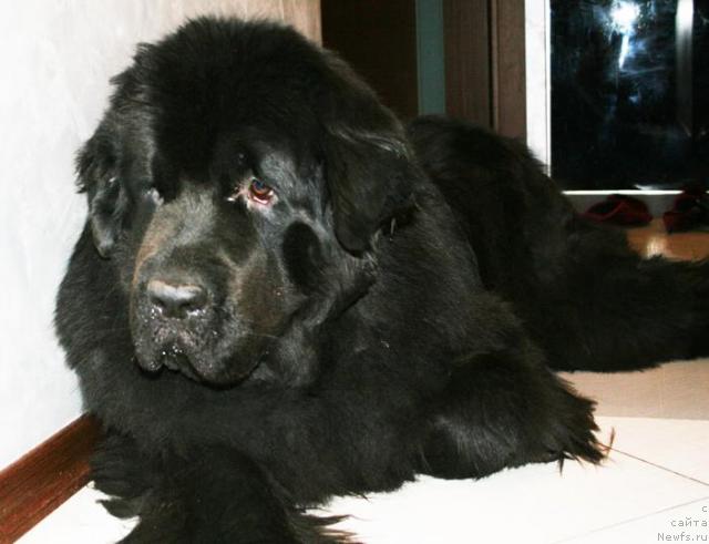 Фотография № 40660