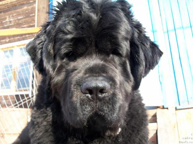 Фотография № 40662