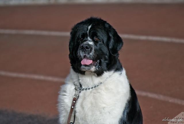 Фотография № 40670