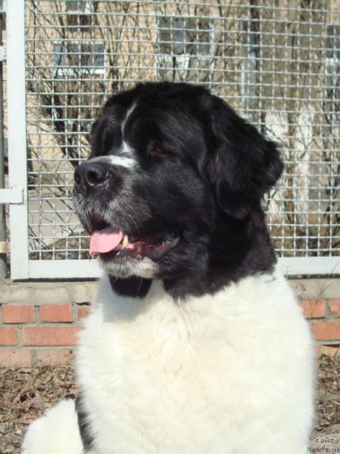 Фотография № 40677