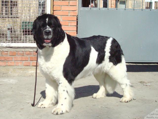 Фотография № 40679