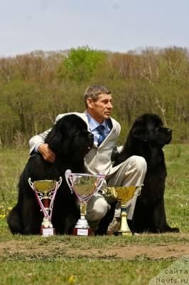 Фото: ньюфаундленд Чанси из Медвежьего Яра (Chansi  iz  Medvejyego Yara), ньюфаундленд Его Высочество от Сибирского Медведя (Ego Vysochestvo ot Sibirskogo Medvedja), Юрий Рахтиенко