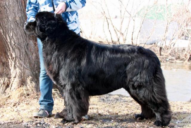 Фотография № 40747