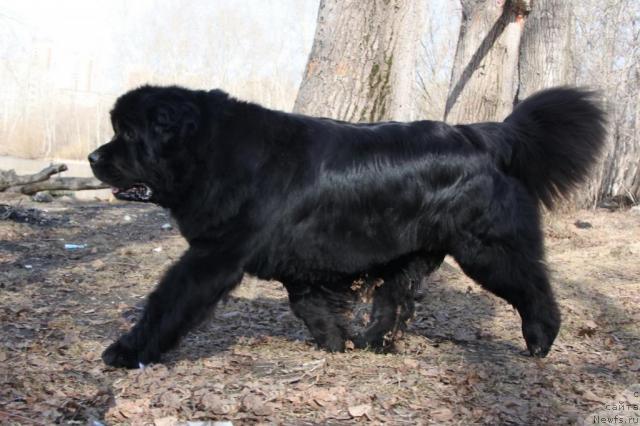 Фотография № 40748