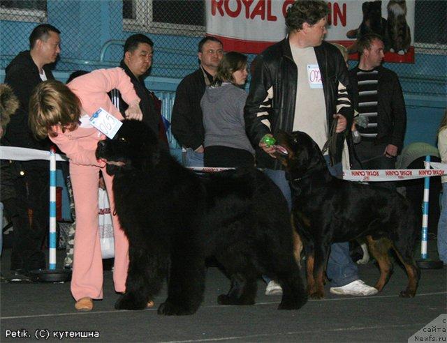 Фотография № 40758