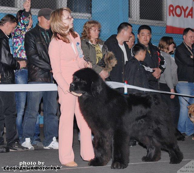 Фотография № 40759