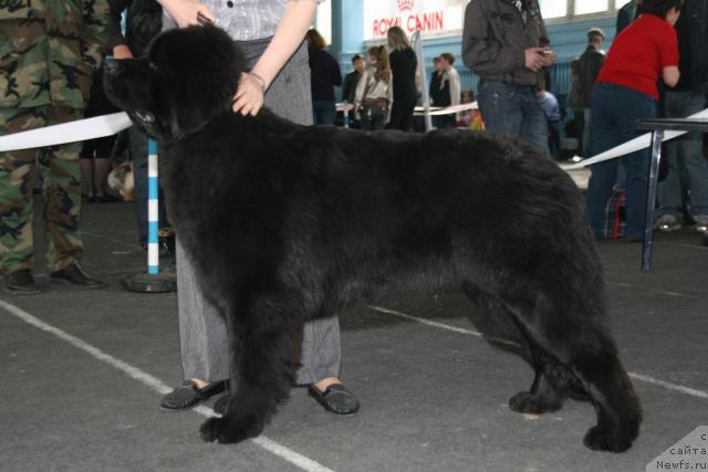 Фотография № 40760