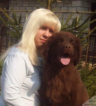 Фото: ньюфаундленд Отрада Любви, Анна Портнякова