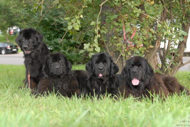 Фотография № 40813