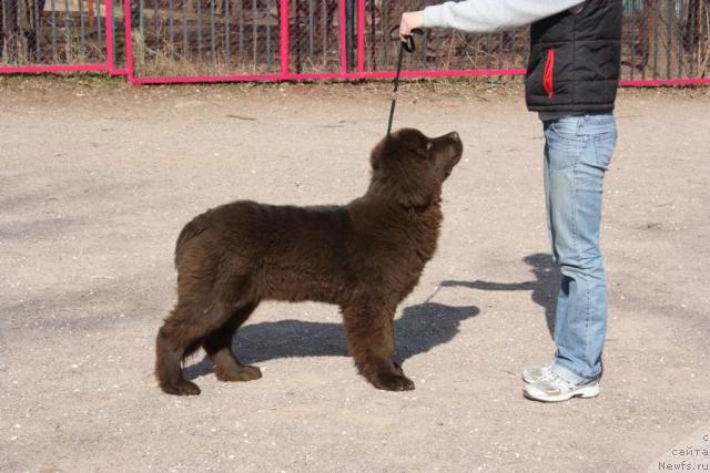 Фотография № 40842