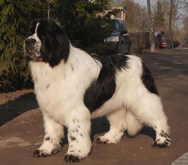 Фотография № 40902