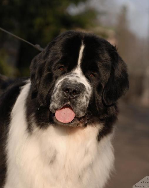 Фотография № 40909