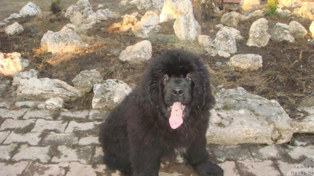 Фотография № 40922