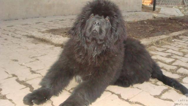 Фотография № 40923