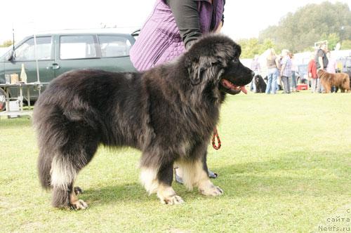 Фотография № 40946