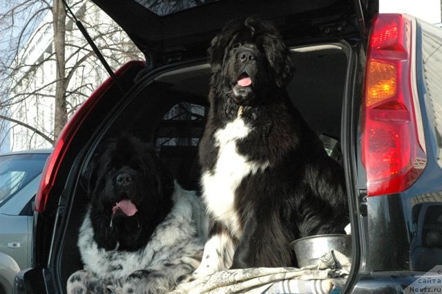 Фотография № 40953