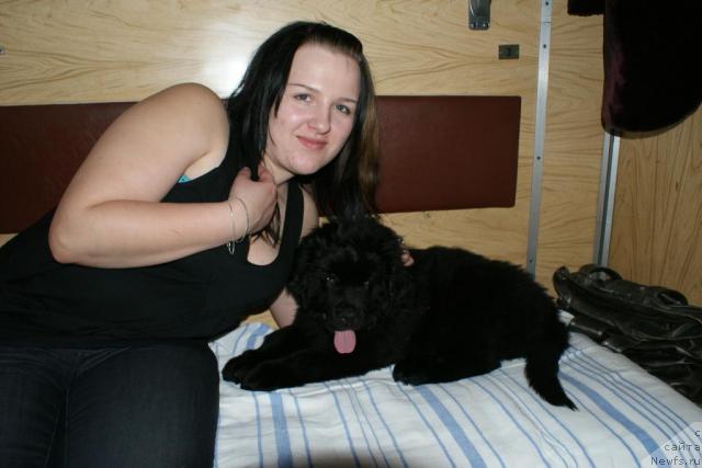 Фотография № 40969