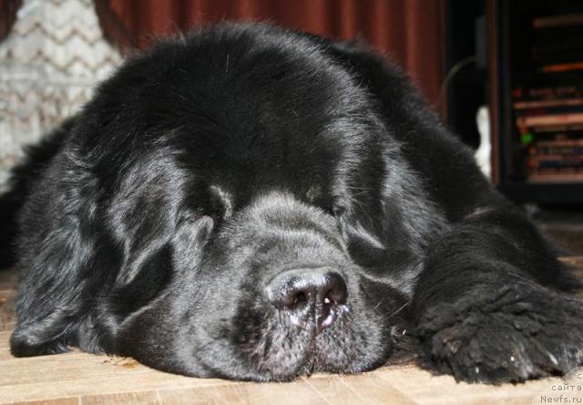 Фотография № 40993