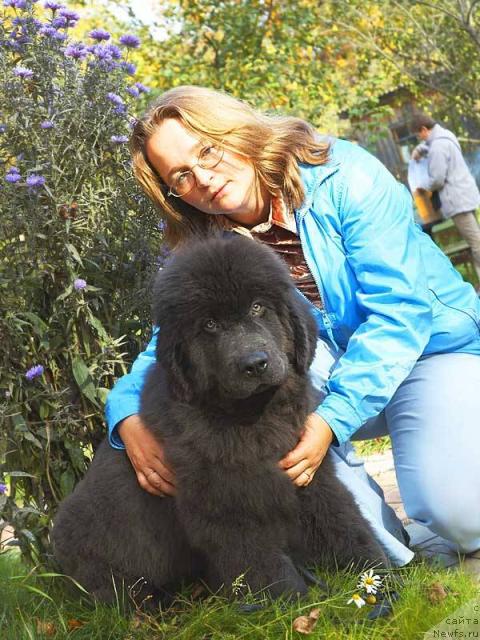 Фото: Юлия Ястребова