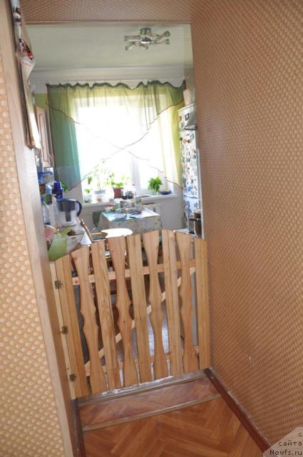 Фотография № 41010