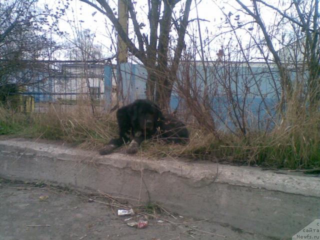 Фотография № 41016