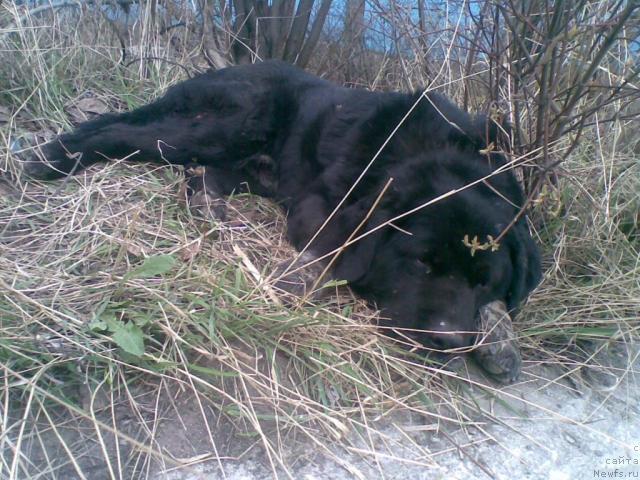 Фотография № 41022