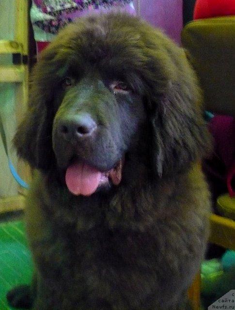 Фотография № 41023