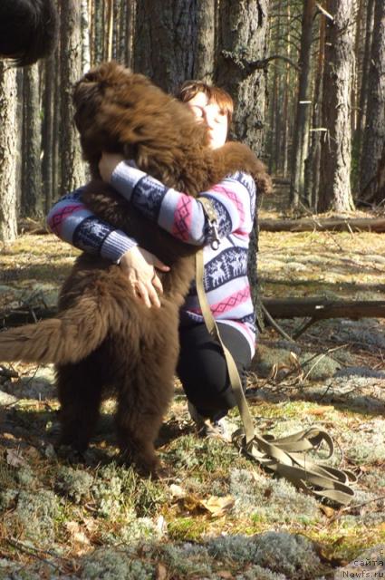 Фотография № 41062