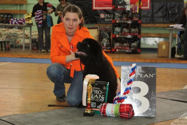 Фотография № 41066