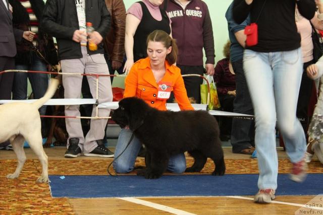 Фотография № 41067