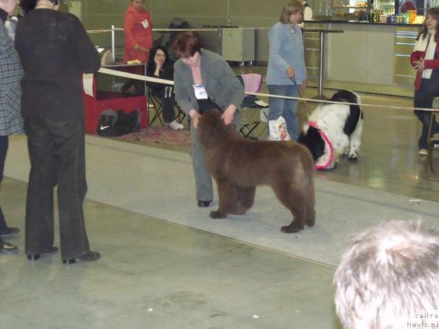 Фотография № 41069