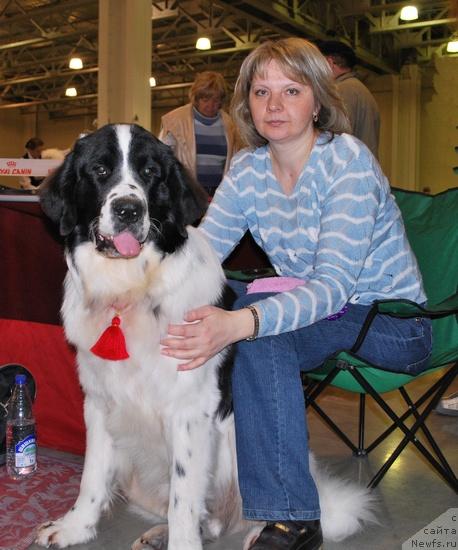 Фото: Галина Костюхова, ньюфаундленд Хьюго Босс из Уникальной Коллекции