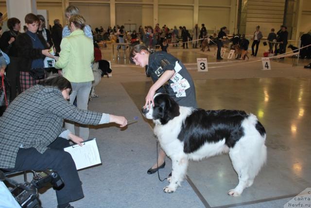 Фотография № 41074