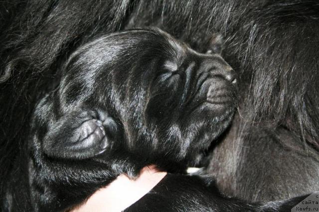 Фотография № 41085