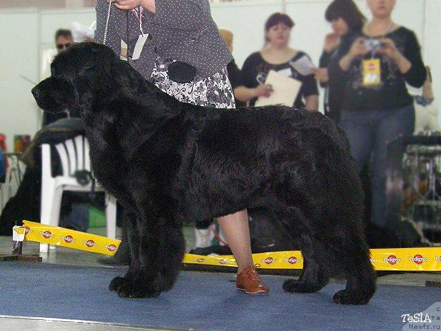 Фотография № 41091